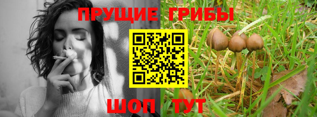 Псилоцибиновые грибы MAGIC MUSHROOMS Кореновск