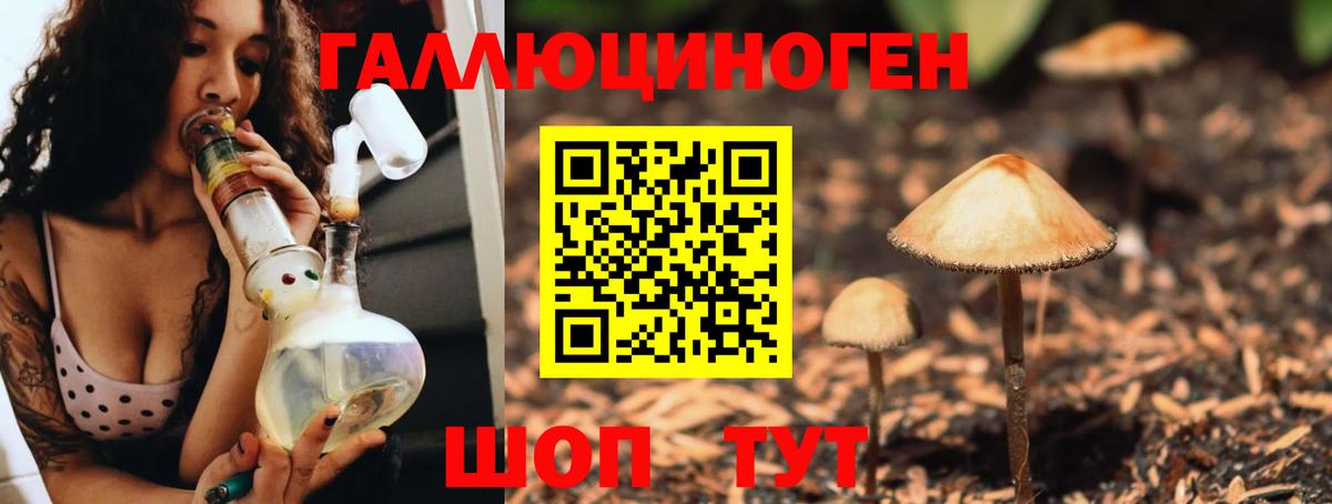 Кореновск  Псилоцибиновые грибы Magic Shrooms  Галлюциногенные грибы мицелий  Вход с VPN 