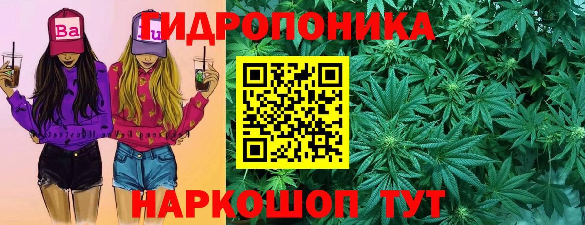 Шишки марихуана AK-47 Кореновск